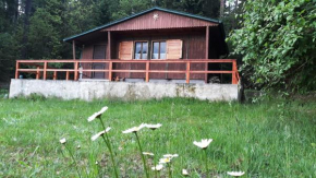 Chata - Na samotě u lesa